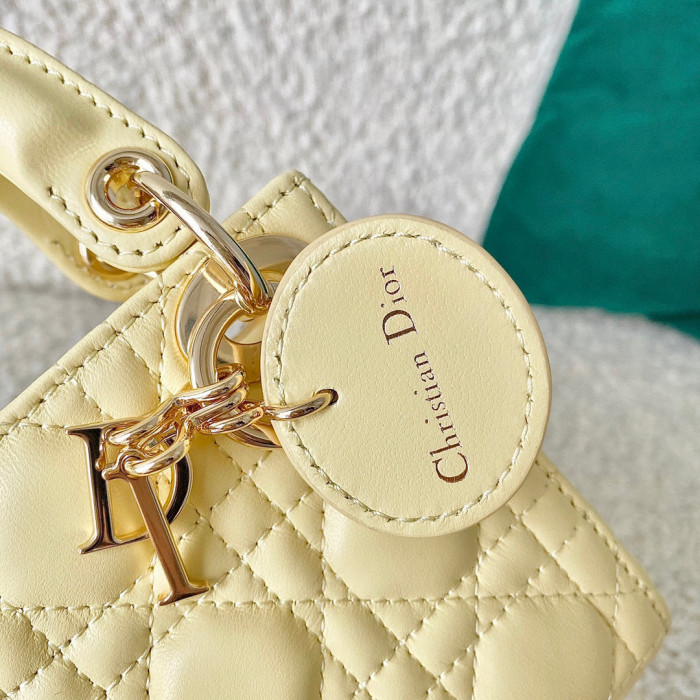 Dior Lady-D-Joy Bag NIGO Leather Carrying Chain Bag #nigo21446