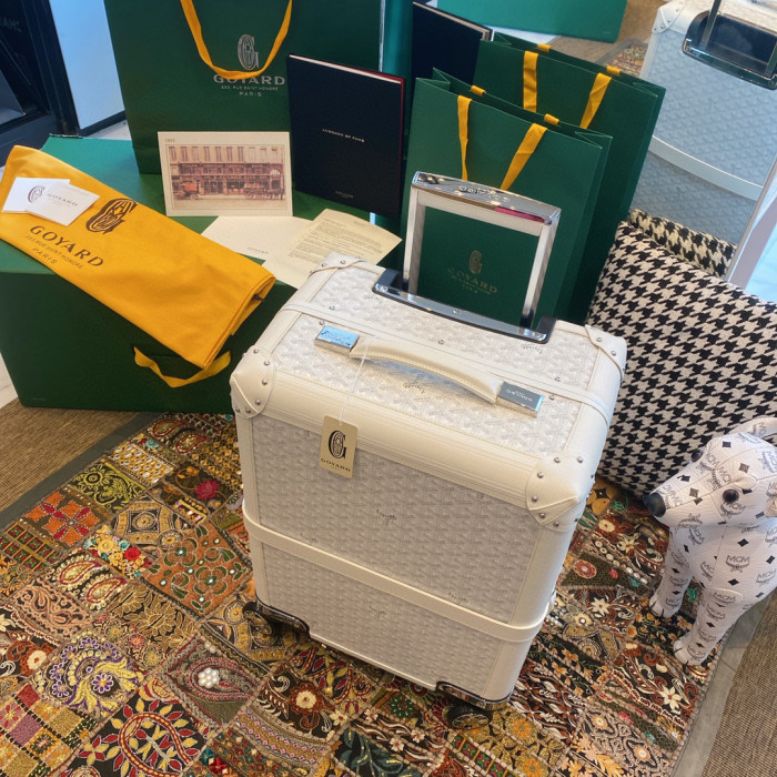 GOYARD Printed Outgoing Luggage #nigo21768
