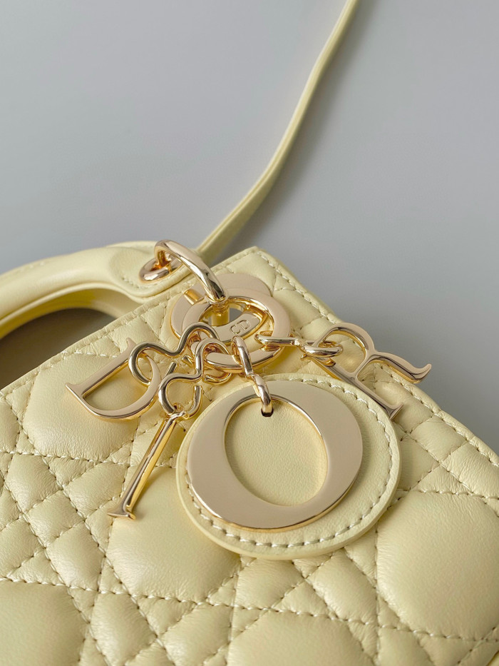 Dior Lady-D-Joy Bag NIGO Leather Carrying Chain Bag #nigo21446