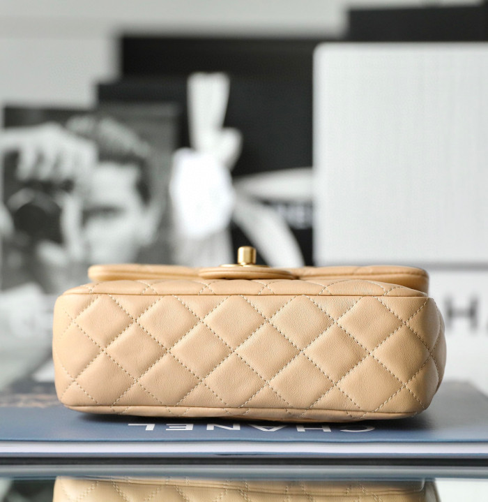 Chanel Flap Bag Small Golden Ball, Single Shoulder Messenger Bag Multicolor Double Size Leather Bags #nigo55243