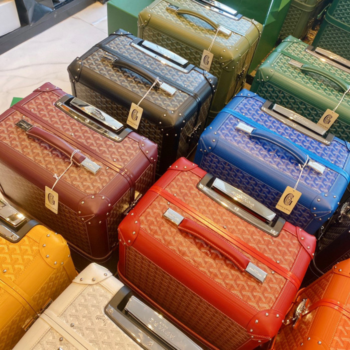 GOYARD Printed Outgoing Luggage #nigo21768