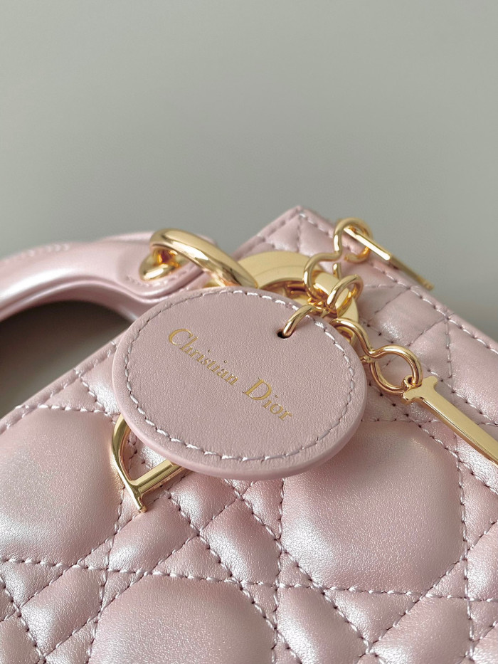 Dior Lady-D-Joy Bag NIGO Leather Carrying Chain Bag #nigo21446