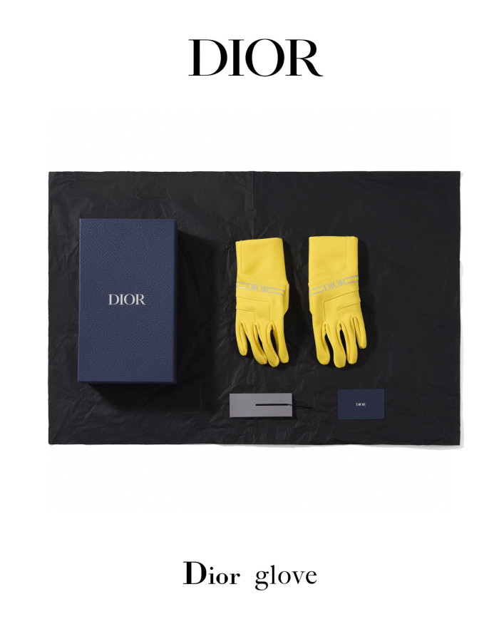 Dior Ski Series Set Skateboard Gloves Helmet Ski Goggles #nigo6446