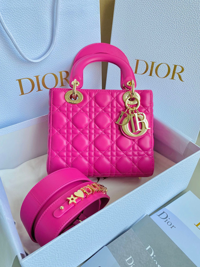 Dior Lady-D-Joy Bag NIGO Leather Carrying Chain Bag #nigo21446