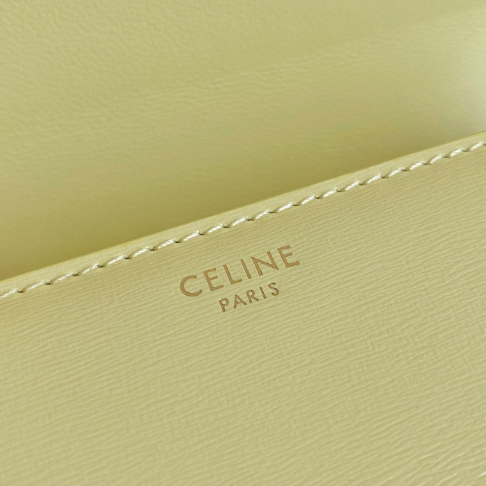 Celine Square Women's Single Leather Tofu Bag #nigo52499