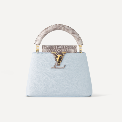 Louis Vuitton Capucines Leather Carrying Blue Bag #nigo21784