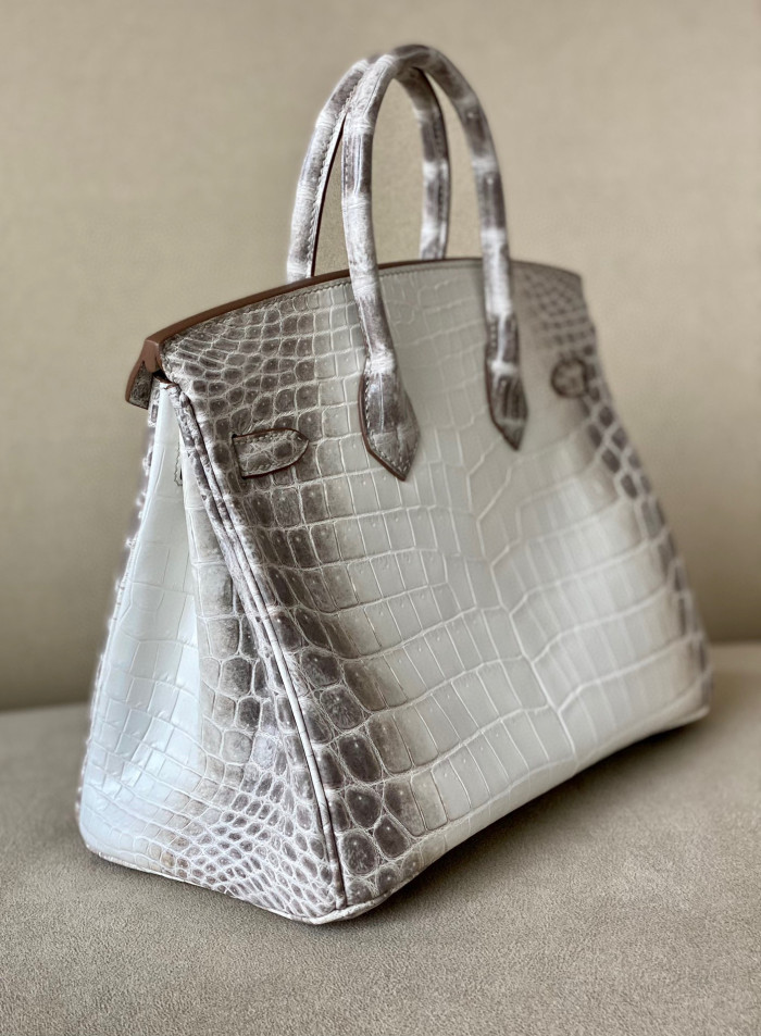 Hermes Kelly Lindy Himalaya Birkin Leather Handbag Bag Bags #nigo96458