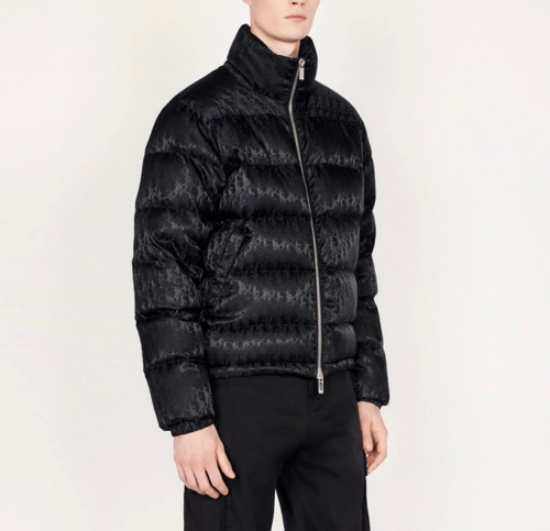 Dior Oblique Long Sleeve Zip Puffer Down Jacket #nigo96496