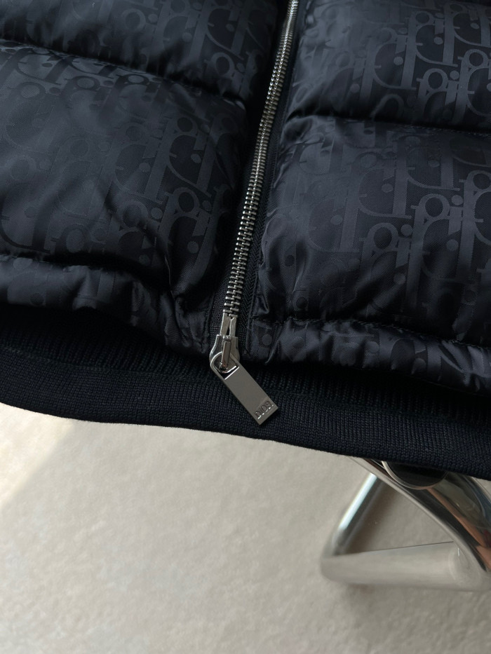 Dior OBLIQUE Long Sleeved Jacket Down Cotton Jacket #nigo21945