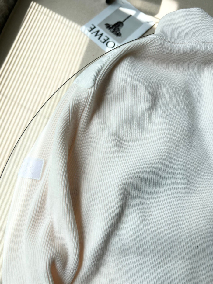 Dior OBLIQUE Long Sleeved Jacket Down Cotton Jacket #nigo21945