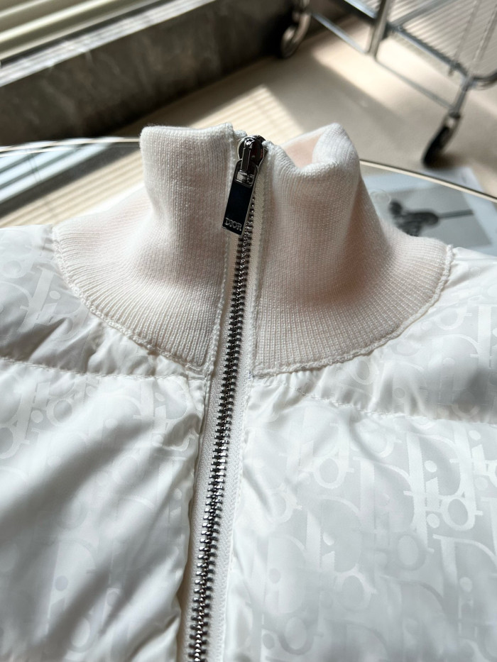 Dior OBLIQUE Long Sleeved Jacket Down Cotton Jacket #nigo21945