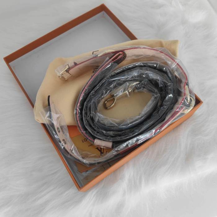 Louis Vuitton Pet pen walking rope （54）