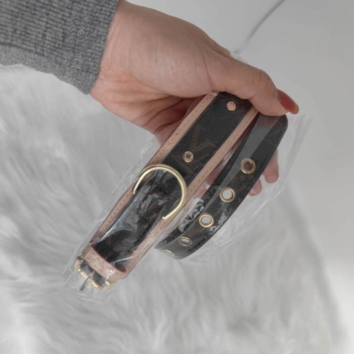 Louis Vuitton Pet pen walking rope （54）