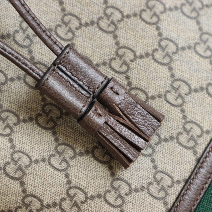 Gucci Ophidia Leather Panel Canvas Printed Portable Bucket Bag #nigo21963