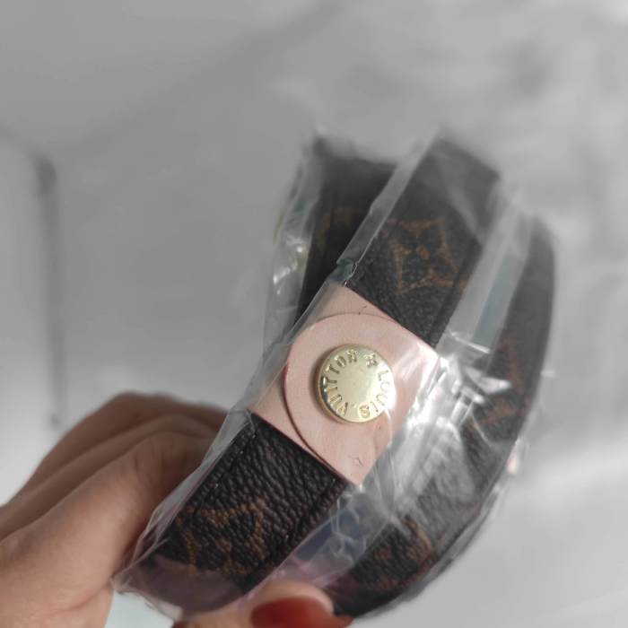 Louis Vuitton Pet pen walking rope （54）