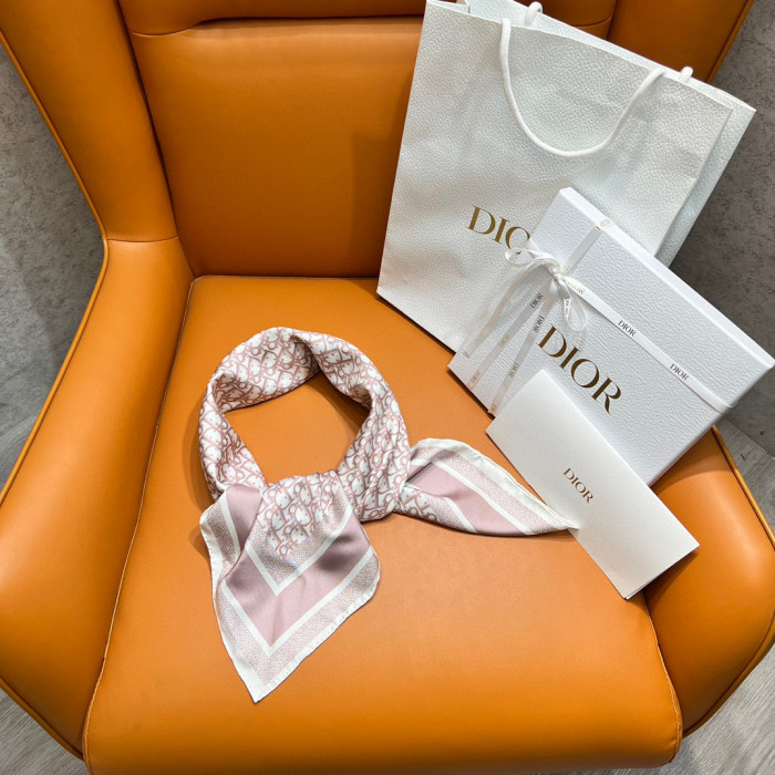 Dior TWIN Printed Square Accessory Scarves #nigo21995