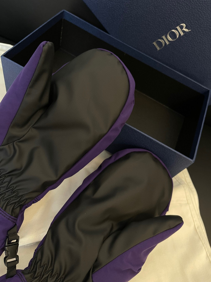 Dior Ski Jacket Pants Gloves 3 Piece Set Suit #nigo96688