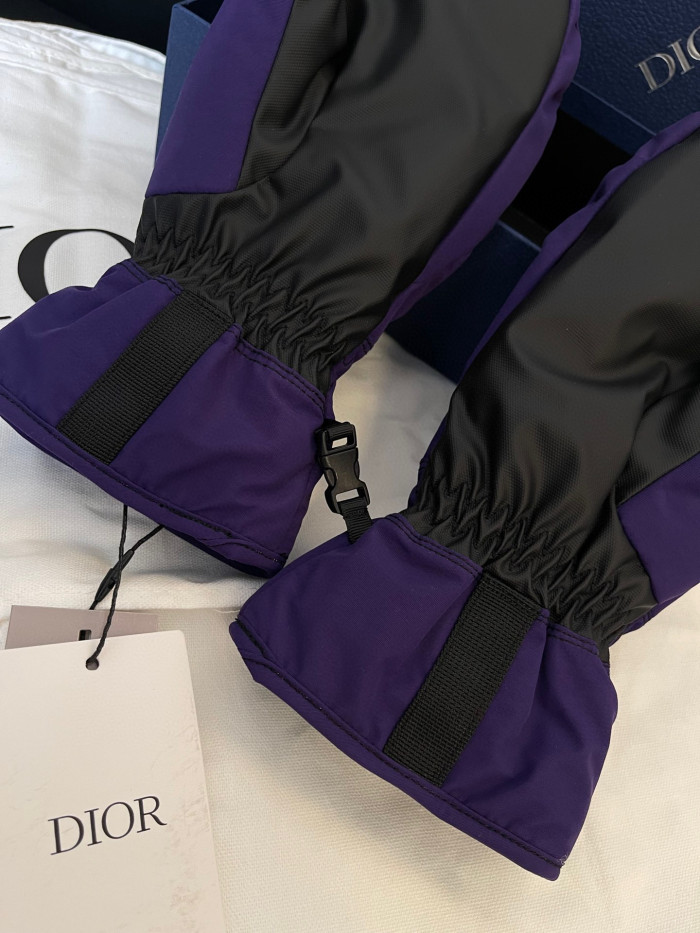 Dior Ski Jacket Pants Gloves 3 Piece Set Suit #nigo96688