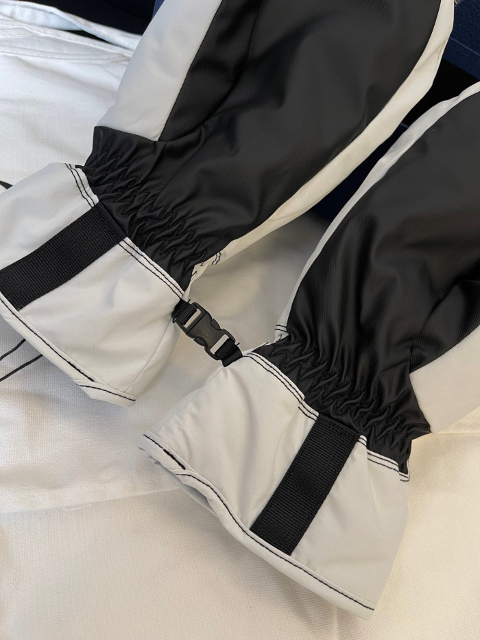 Dior Ski Jacket Pants Gloves 3 Piece Set Suit #nigo96688