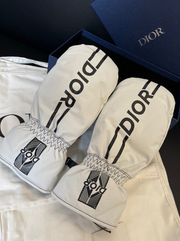 Dior Ski Jacket Pants Gloves 3 Piece Set Suit #nigo96688