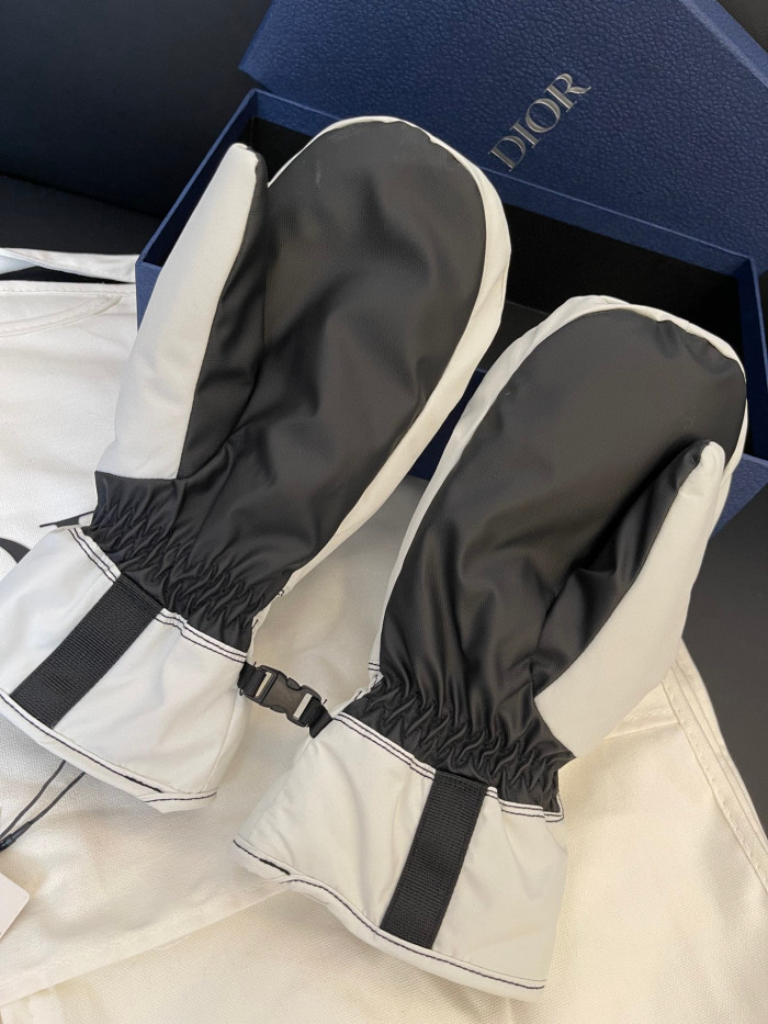 Dior Ski Jacket Pants Gloves 3 Piece Set Suit #nigo96688