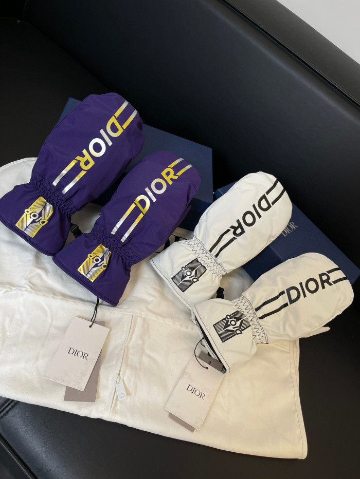 Dior Ski Jacket Pants Gloves 3 Piece Set Suit #nigo96688