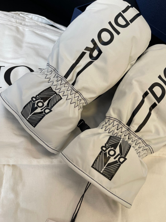 Dior Ski Jacket Pants Gloves 3 Piece Set Suit #nigo96688