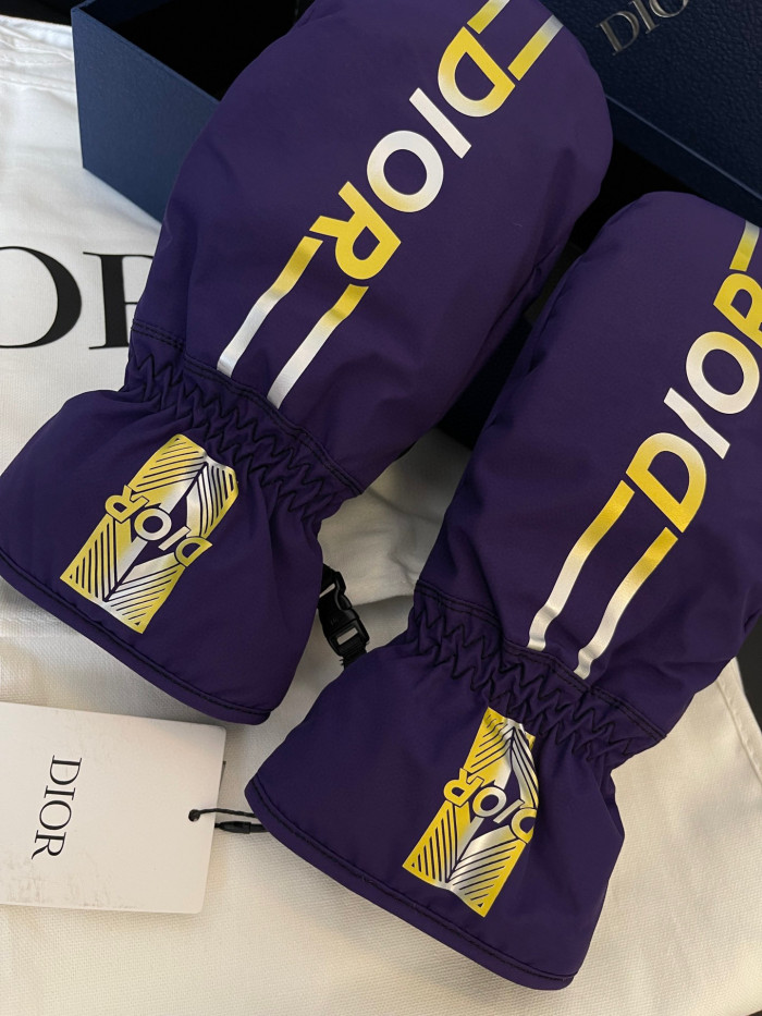 Dior Ski Jacket Pants Gloves 3 Piece Set Suit #nigo96688