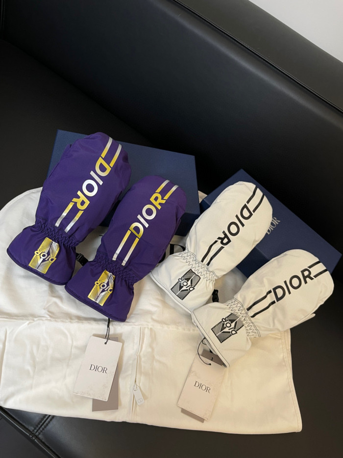 Dior Ski Jacket Pants Gloves 3 Piece Set Suit #nigo96688