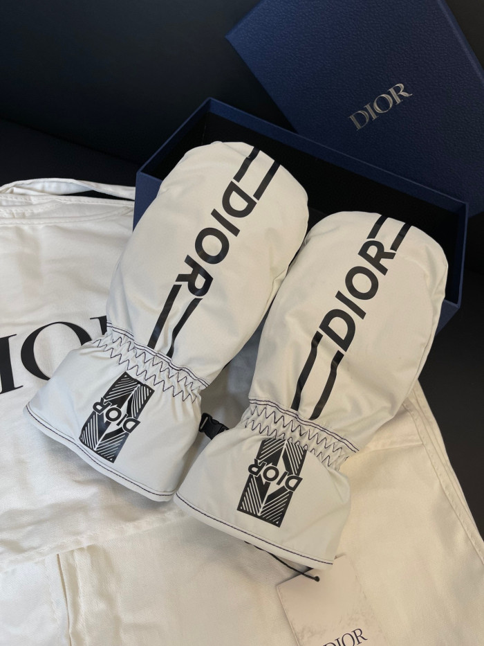Dior Ski Jacket Pants Gloves 3 Piece Set Suit #nigo96688