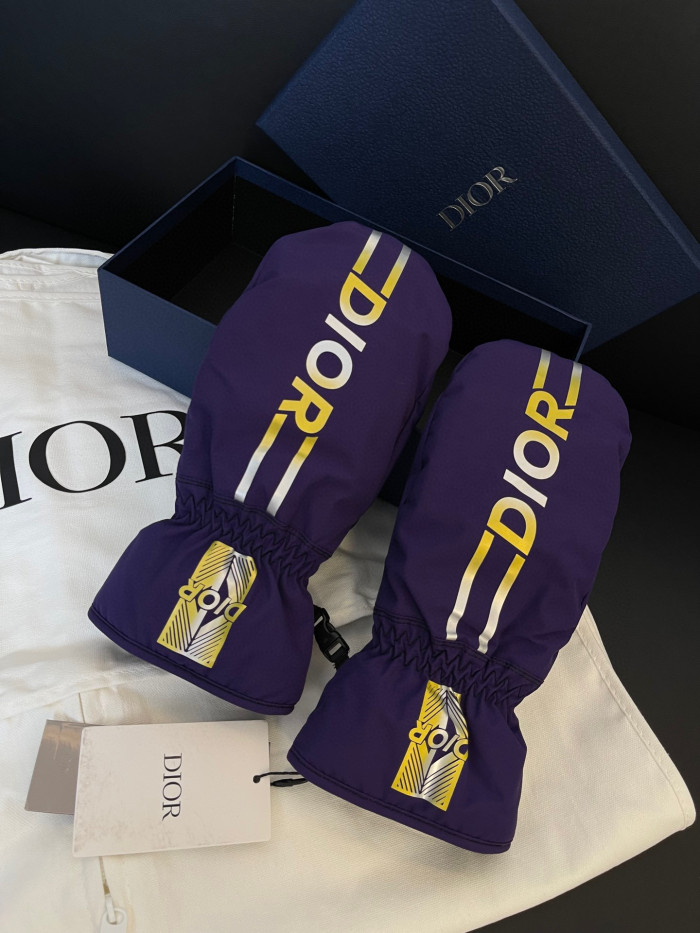 Dior Ski Jacket Pants Gloves 3 Piece Set Suit #nigo96688