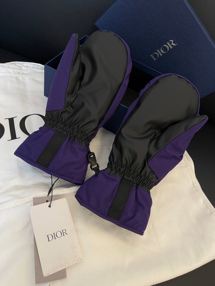 Dior Ski Jacket Pants Gloves 3 Piece Set Suit #nigo96688