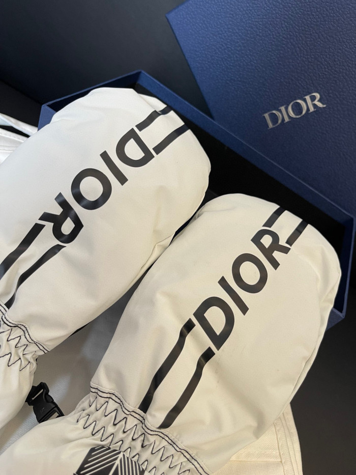 Dior Ski Jacket Pants Gloves 3 Piece Set Suit #nigo96688