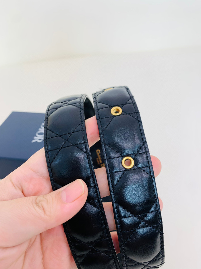 Dior 30 Montaigne Belt #nigo96736