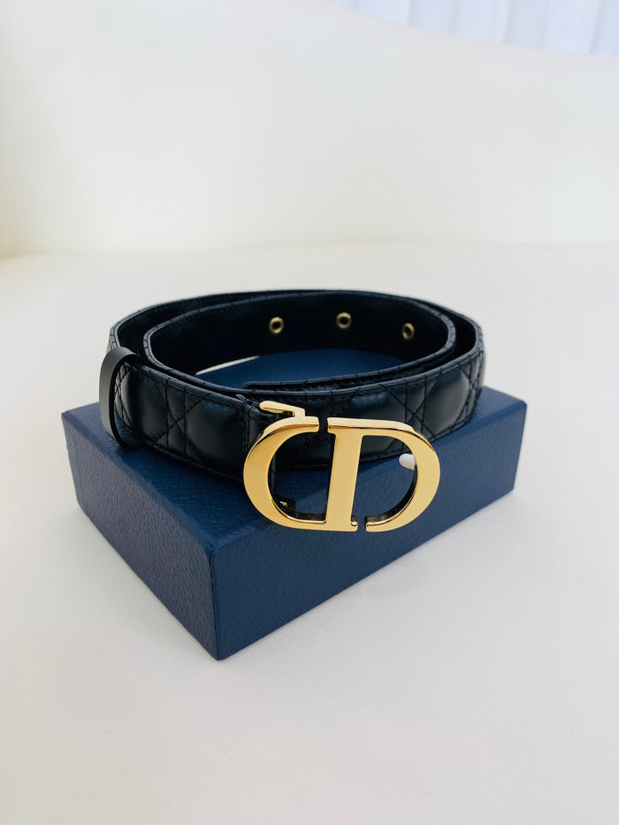 Dior 30 Montaigne Belt #nigo96736