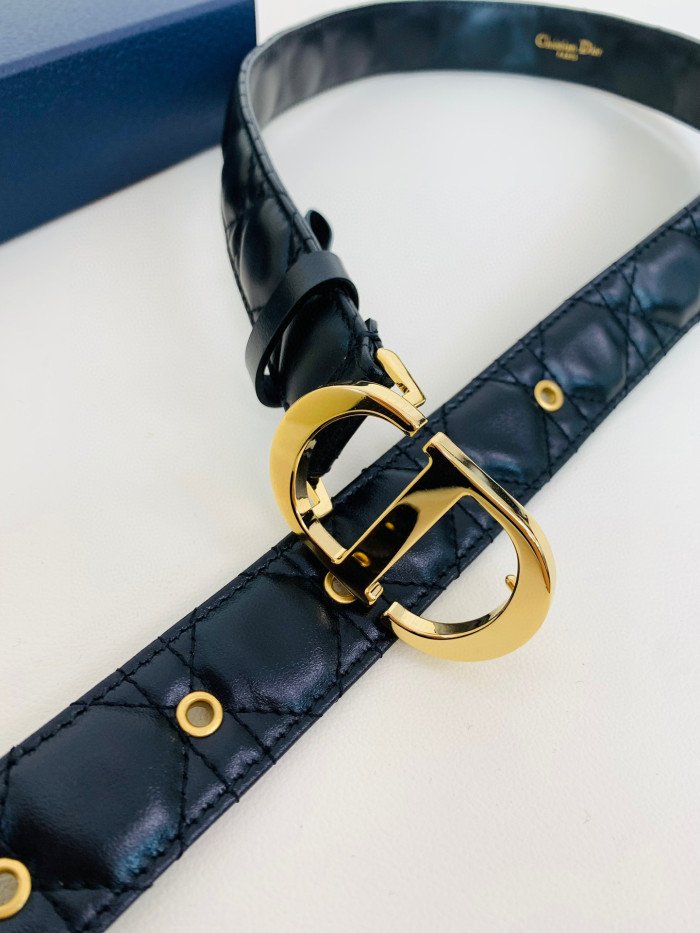 Dior 30 Montaigne Belt #nigo96736