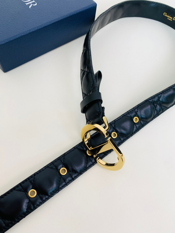 Dior 30 Montaigne Belt #nigo96736