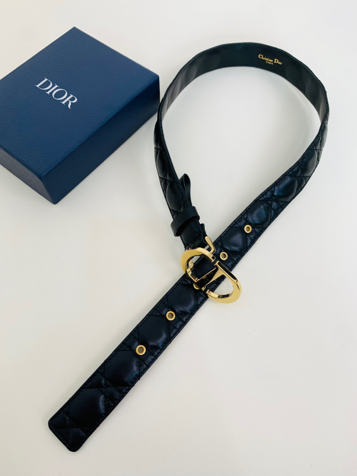 Dior 30 Montaigne Belt #nigo96736