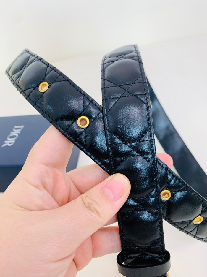 Dior 30 Montaigne Belt #nigo96736
