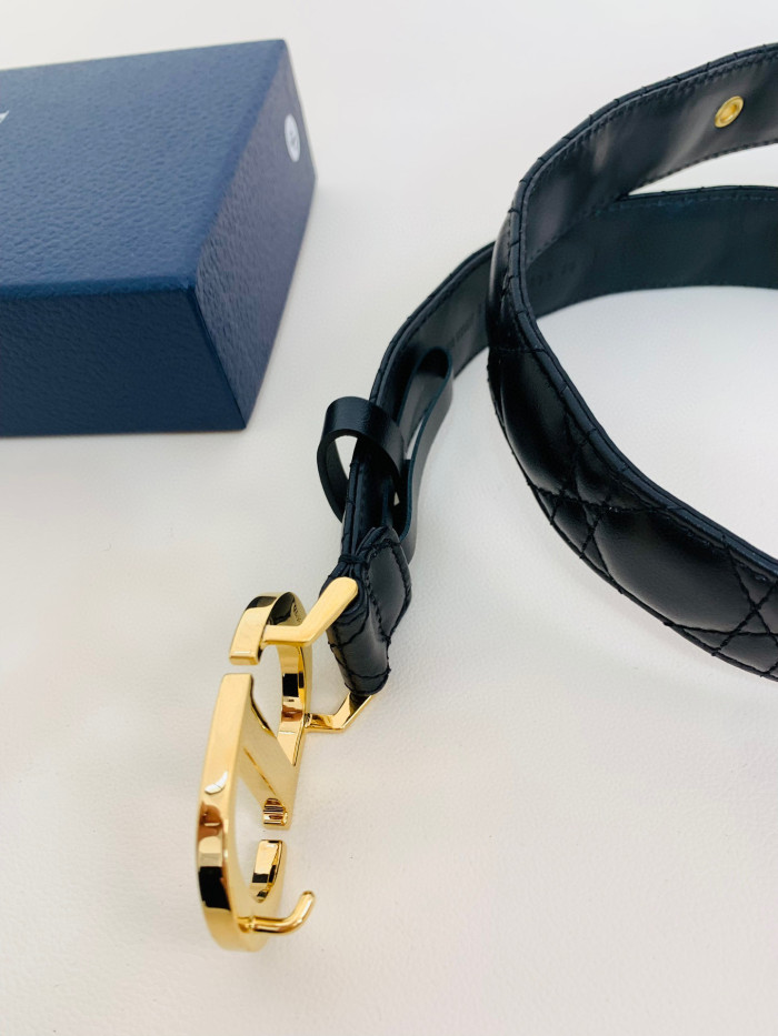 Dior 30 Montaigne Belt #nigo96736
