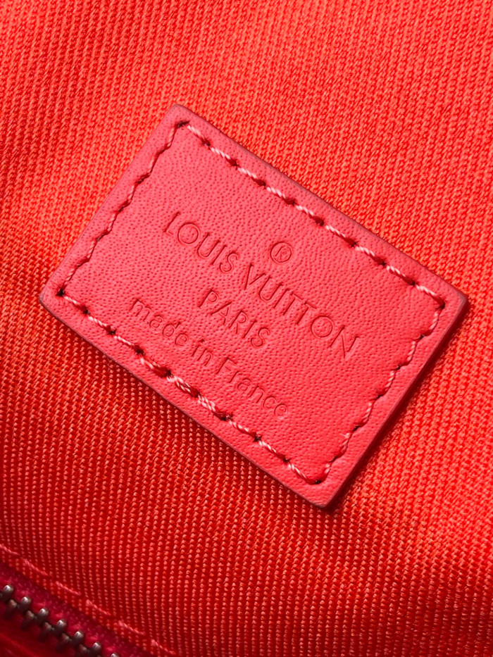 Louis Vuitton CHRISTOPHER Leather Printed Backpack Bag #nigo22135