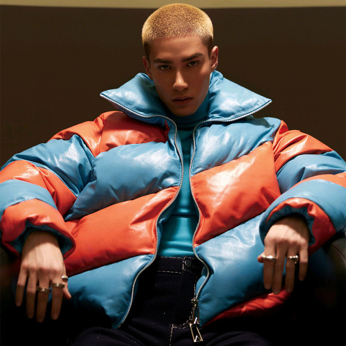 Bottega Veneta Colorblocked Leather Puffer Down Jacket Ngvp #nigo6826