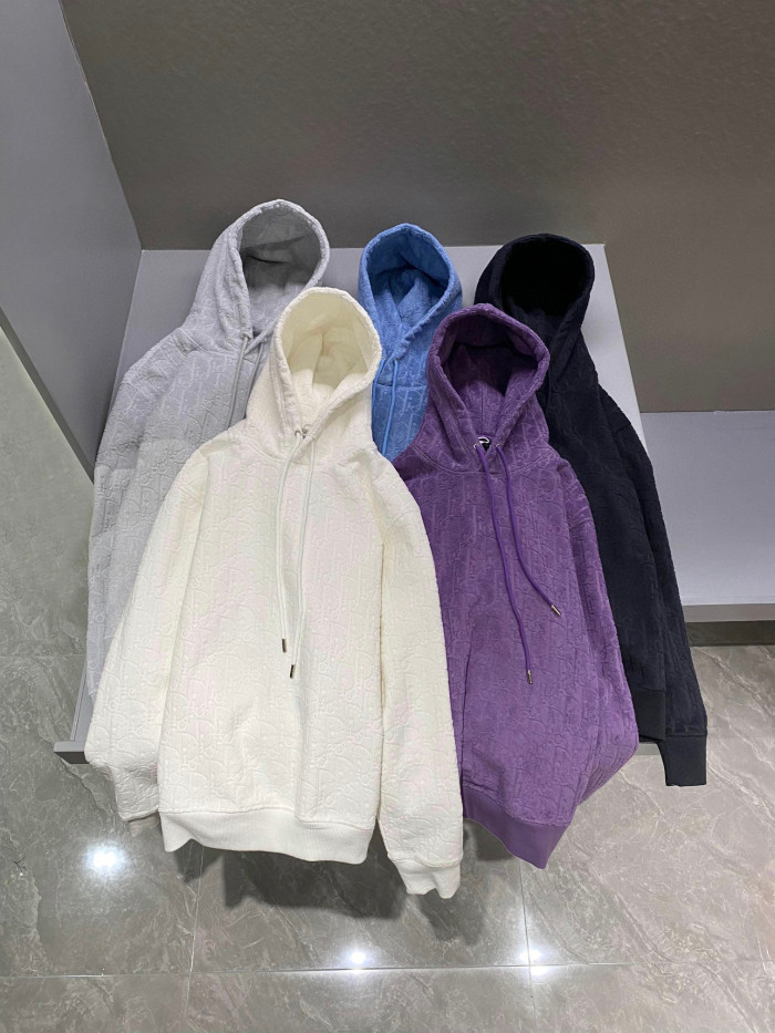 Dior Oblique Hooded Sweatshirt Relaxed Fit Loose Hoodie Pullover #nigo95126