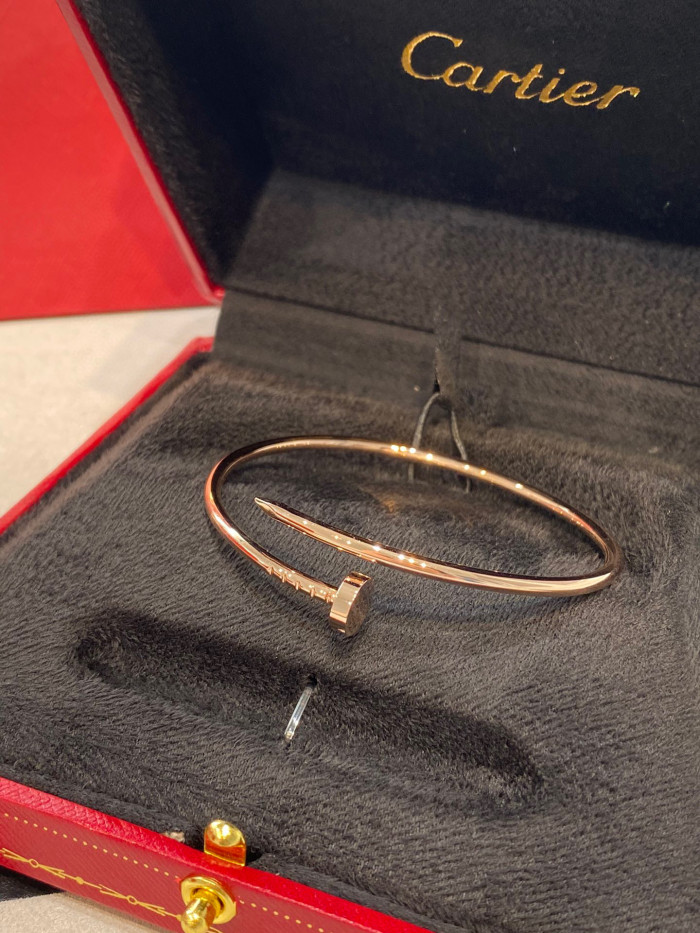 NIGO Cartier Juste un Clou Unisex Diamond Free Nail Bangle Jewellery #nigo97655