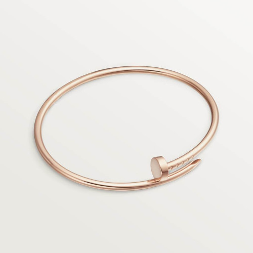 NIGO Cartier Juste un Clou Unisex Diamond Free Nail Bangle Jewellery #nigo97655