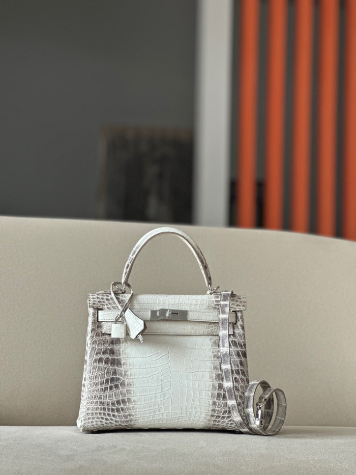 Hermes Kelly Lindy Himalaya Birkin Leather Handbag Bag Bags #nigo96458C