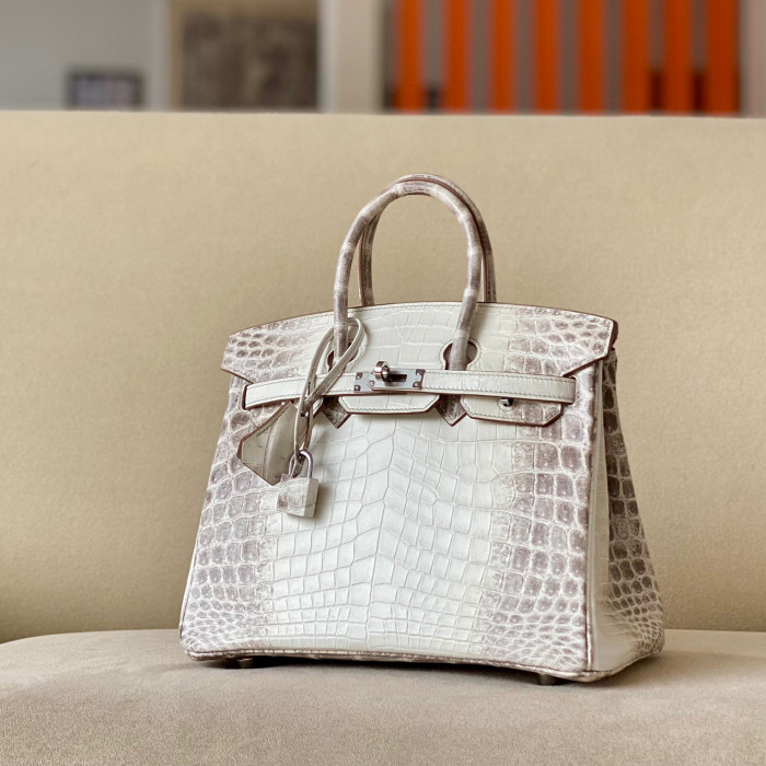 Hermes Kelly Lindy Himalaya Birkin Leather Handbag Bag Bags #nigo96458C