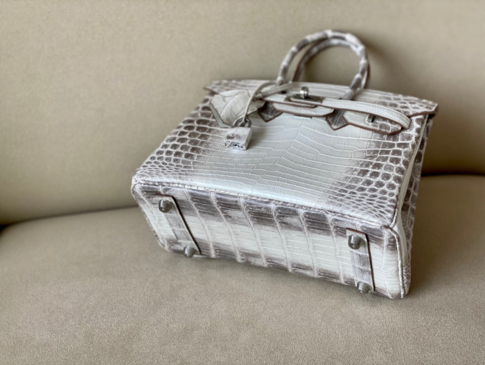Hermes Kelly Lindy Himalaya Birkin Leather Handbag Bag Bags #nigo96458C