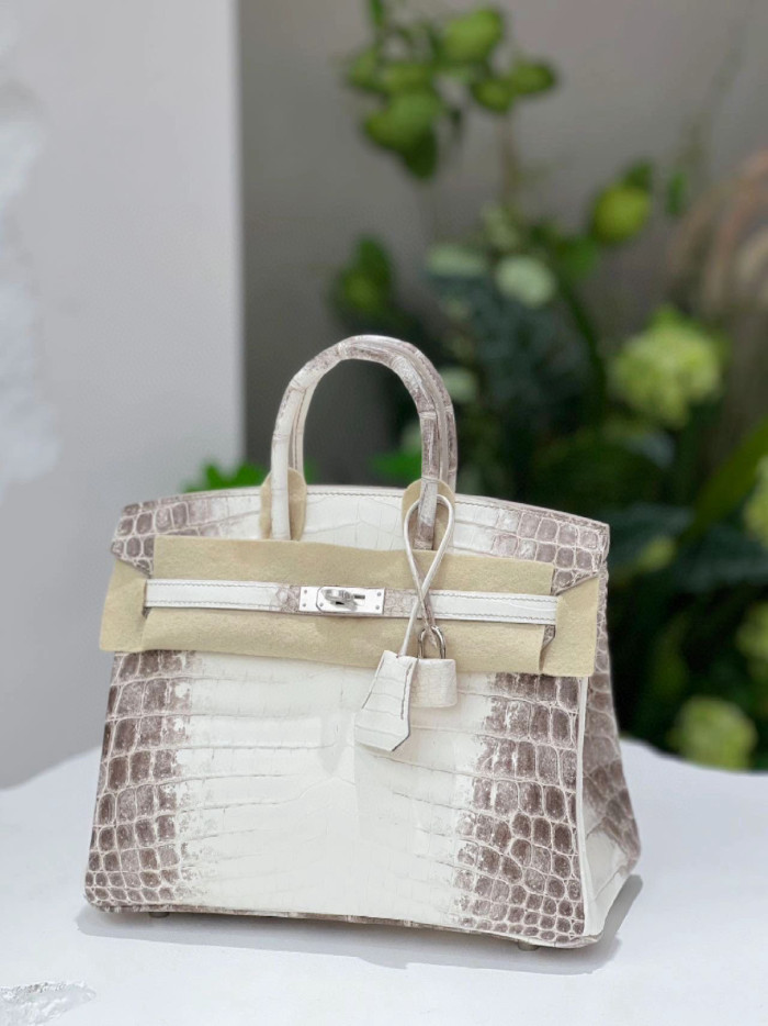 Hermes Kelly Lindy Himalaya Birkin Leather Handbag Bag Bags #nigo96458