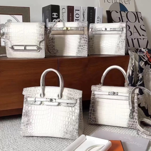 Hermes Kelly Lindy Himalaya Birkin Leather Handbag Bag Bags #nigo96458C